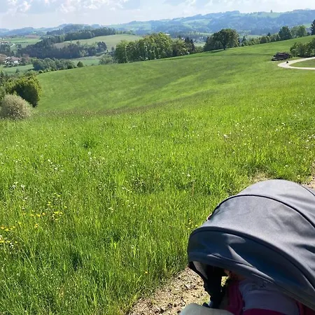 Wohnen Im Gruenen - Landidylle Mit Komfort Naehe Linz