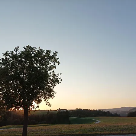 Wohnen Im Gruenen 公寓