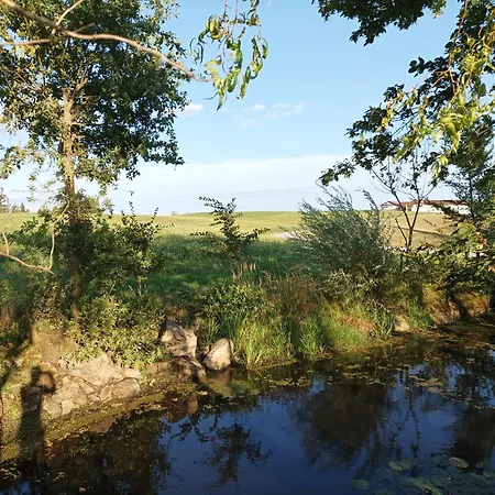 דירה Wohnen Im Gruenen Pregarten