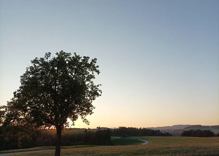 Wohnen Im Gruenen Daire